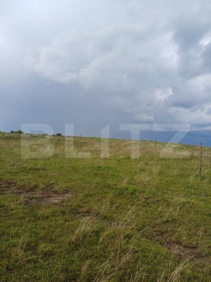 Teren agricol extravilan de 1249 mp, în Copăceni