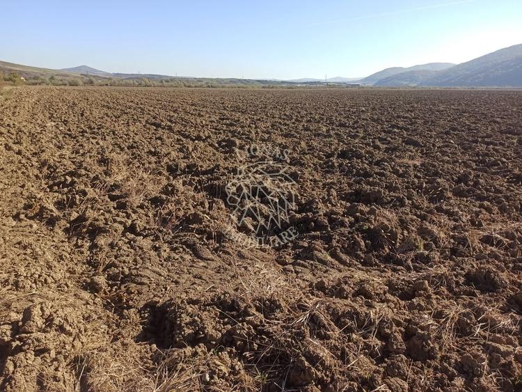 Teren agricol extravilan de 7500 mp, în Sărata