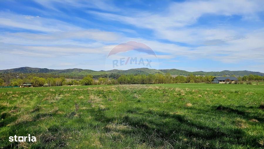 Teren de 10000 mp, în Vânători-Neamț