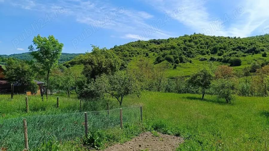 Teren de 2276 mp, în Drăgăneasa