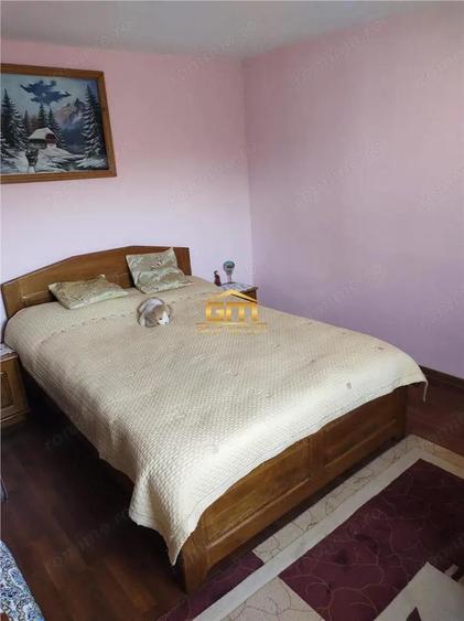 Casă cu 6 camere cu Teren 5600 Mp în Golești
