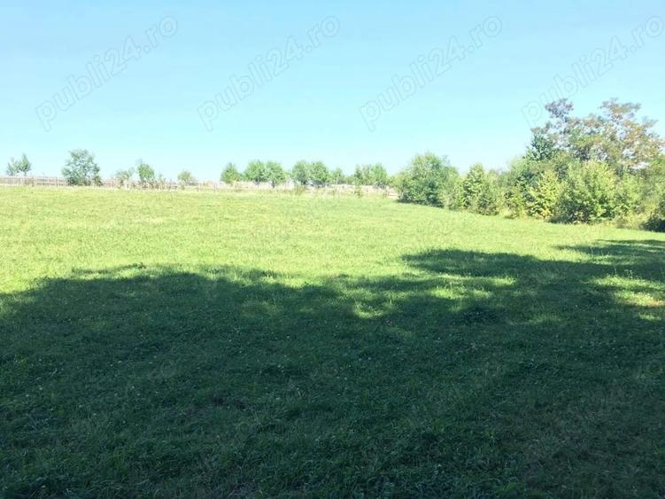 Teren de 5400 mp, în Oglinzi