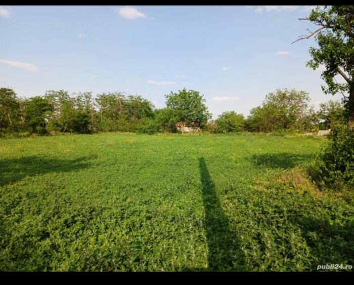 Teren intravilan de 3580 mp, în Călțuna
