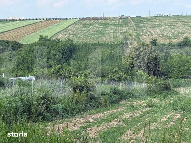 Teren de 1524 mp, în Central