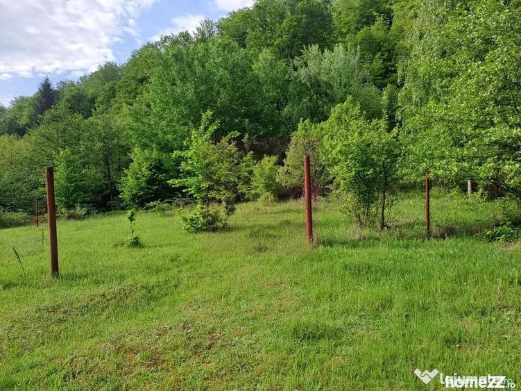 Teren de 834 mp, în Berevoești