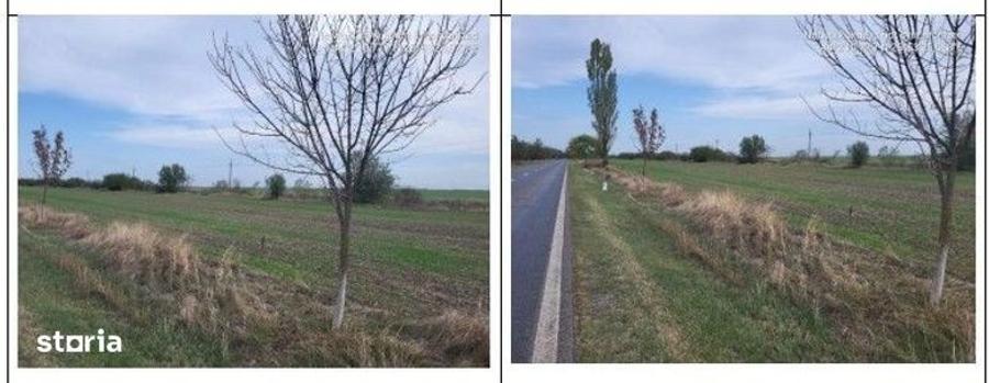 Teren de 3800 mp, în Comana