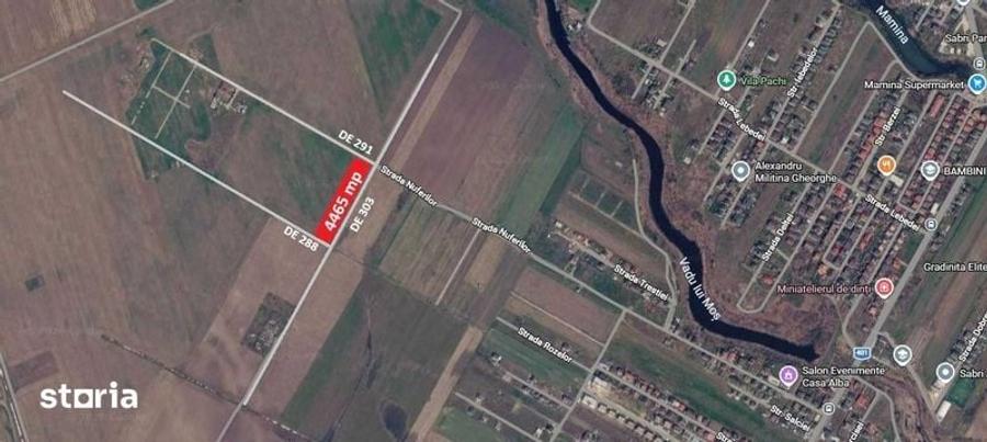 Teren 4465 mp Str. Nuferilor, Vidra - Berceni, Ilfov - 4