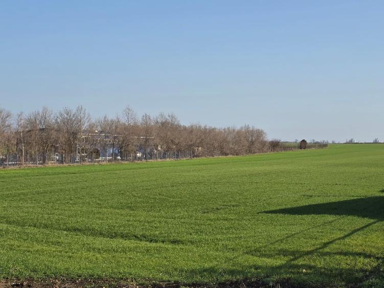 Teren Construcții intravilan de 46000 mp, în Agigea