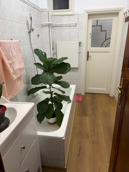 Apartament cu 5 camere semidecomandat în Dorobanți