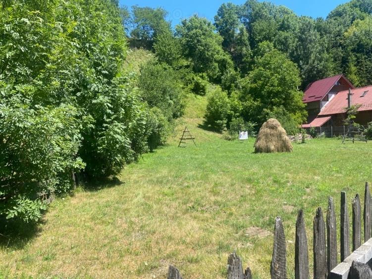 Teren de 2361 mp, în Valea Doftanei