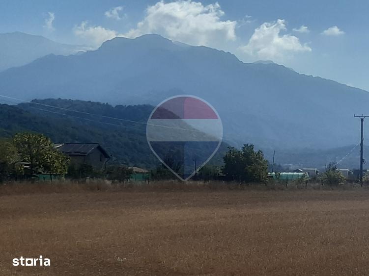 Teren de 7150 mp, în Sud