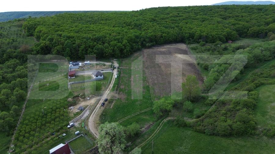 Teren Construcții extravilan de 15100 mp, în Aiud