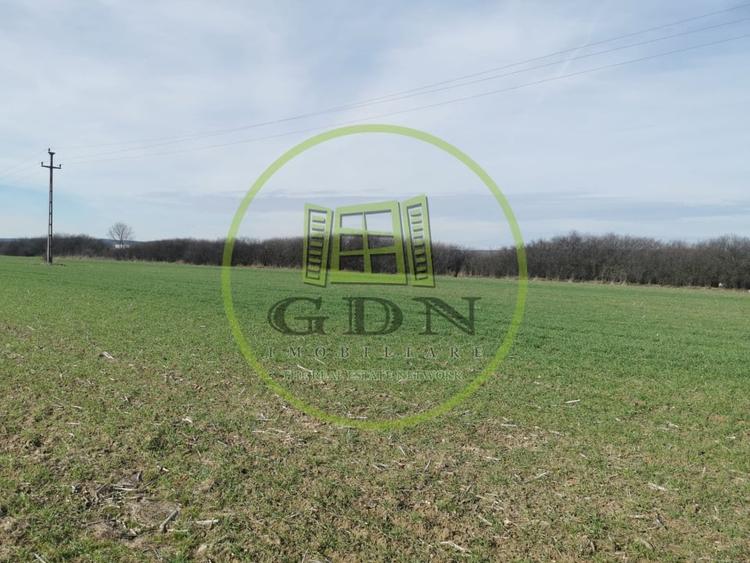 Teren agricol extravilan de 21496 mp, în Săcădat