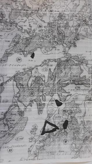 5 hectare / 4 loturi - Frasinet, Jud. Buzau - 8