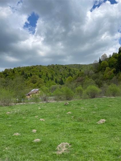 Teren de 3981 mp, în Plaiul Foii