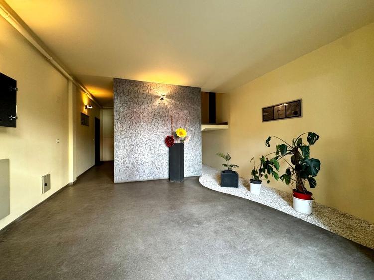 Apartament cu 2 camere decomandat, mobilat în Braytim