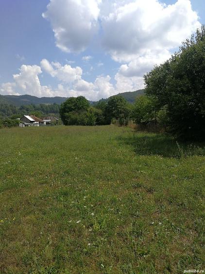 Teren în Stejaru (Pângărați)