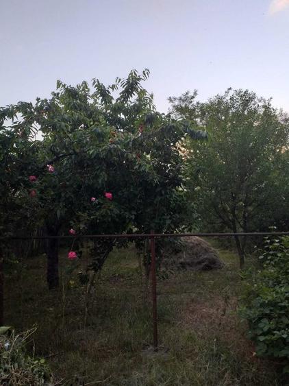 Casă cu 4 camere în Cocorăștii Caplii