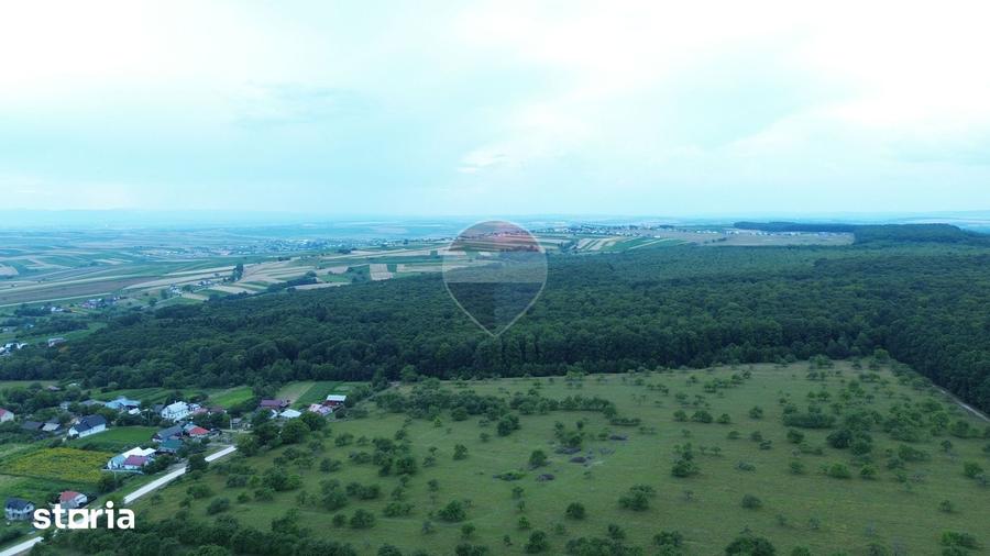 Teren de 95000 mp, în Șerbăuți