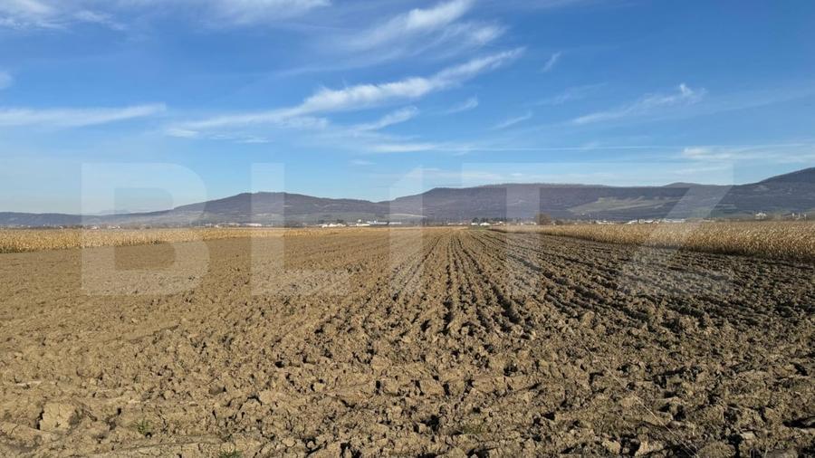 Teren Construcții intravilan de 5300 mp, în Arcalia