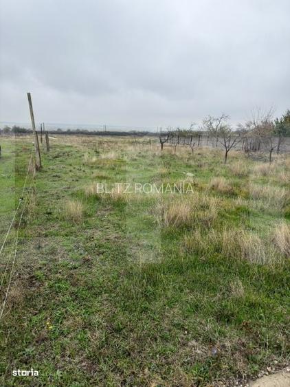 Teren intravilan de vanzare, 2362mp Bradesti Dolj