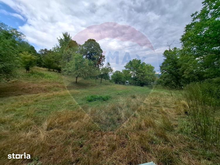 Teren de 990 mp, în Bârzava