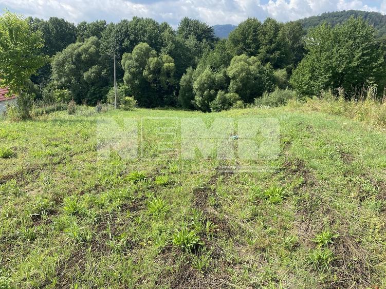 Teren Construcții intravilan de 2452 mp, în Voievodeasa