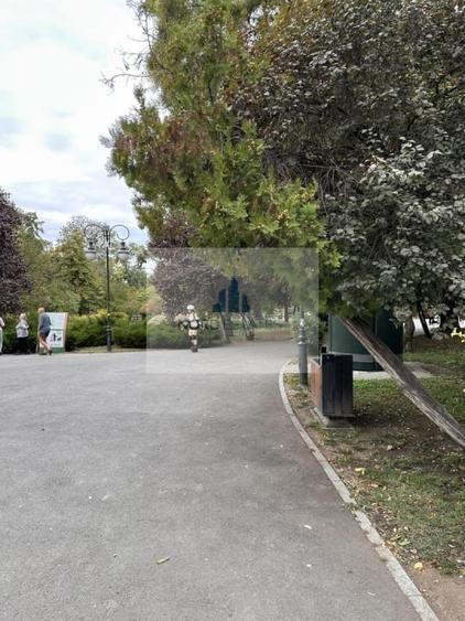 Apartament cu 5 camere în Cișmigiu
