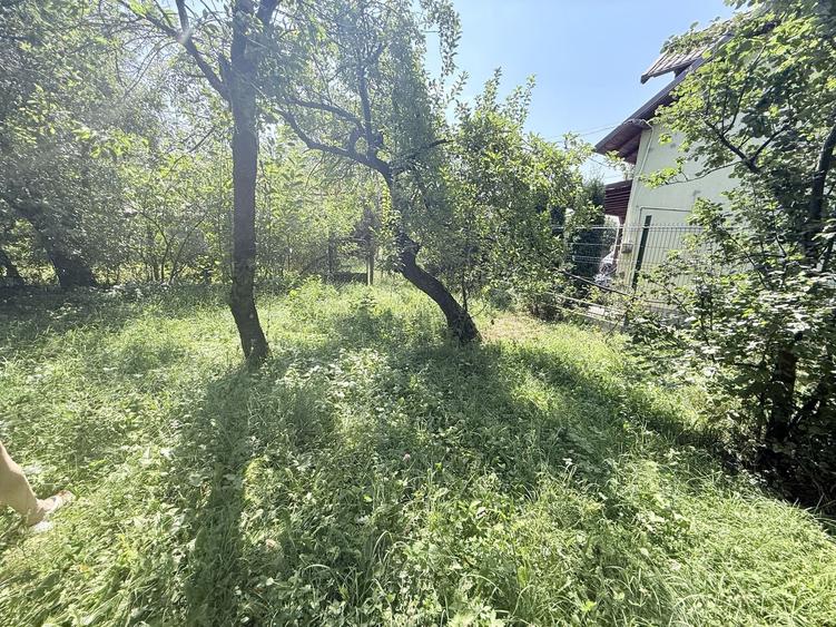 Casa interbelică cu arhitectură deosebită+Anexa și teren 1570 mp - 23