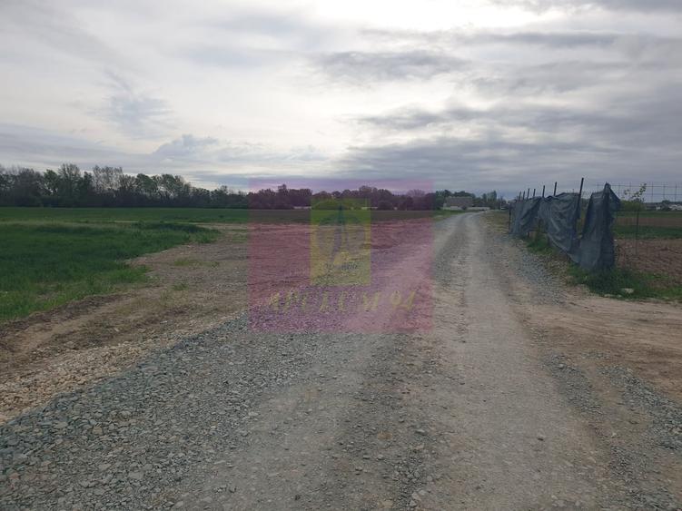 Teren în Măgurele