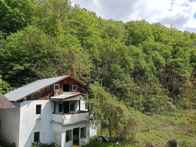 Teren extravilan de 8900 mp, în Sud-Vest
