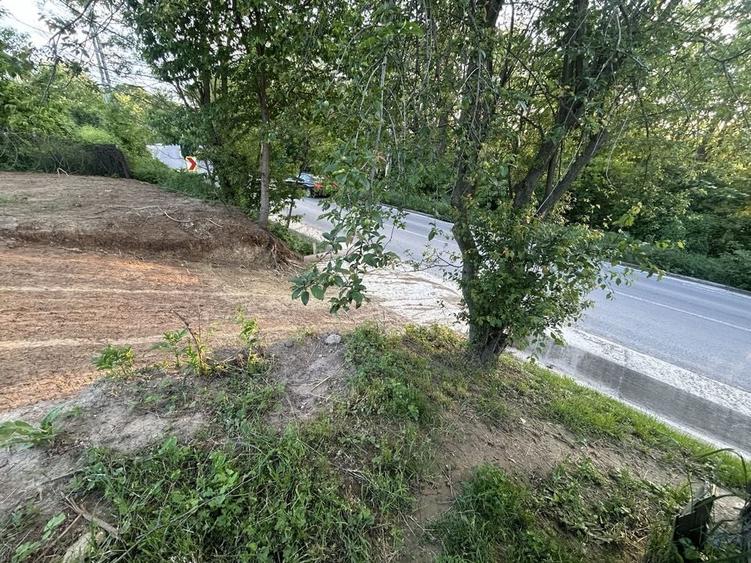 Teren de 600 mp, în Bârnova