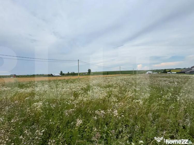 Teren în Răchiți