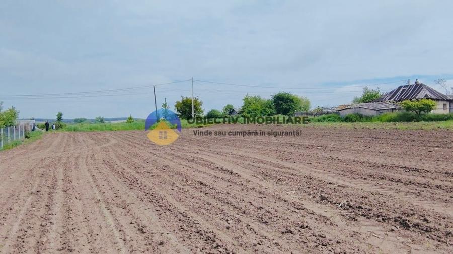 Teren intravilan de 12300 mp, în Cârligi