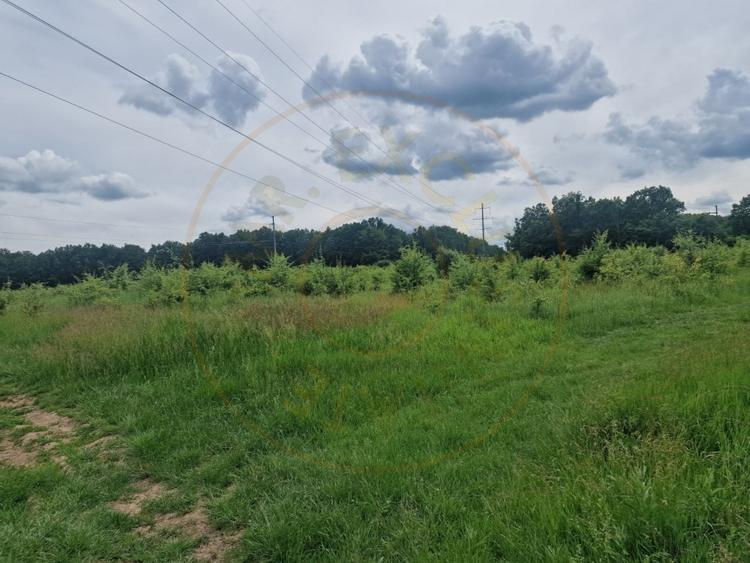 Teren agricol extravilan de 12421 mp, în Big-Bascov
