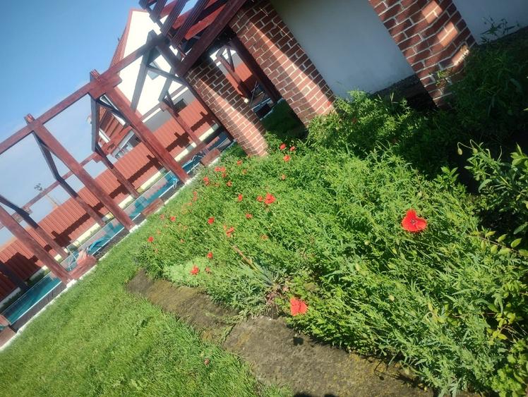 Casă individuală cu 6 camere cu Teren 1200 Mp în Prejmer