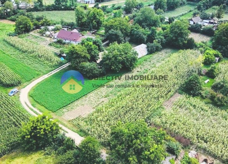 Teren intravilan de 4133 mp, în Boțești