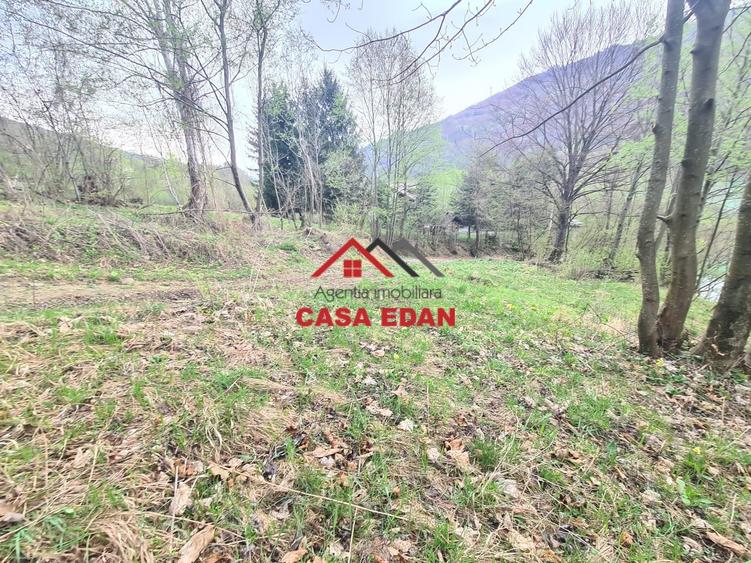 Teren Construcții intravilan de 1000 mp, în Valea Doftanei