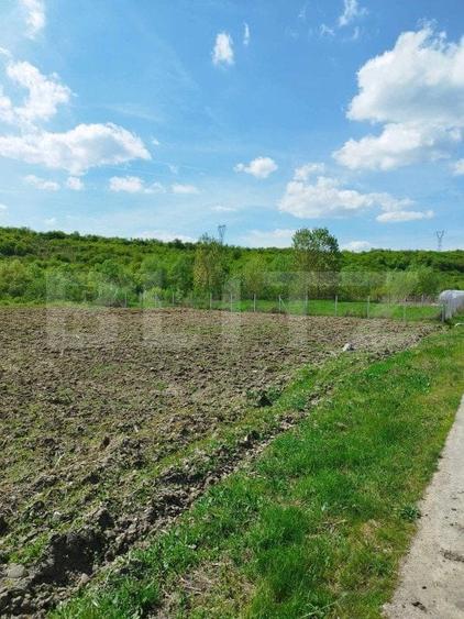 Teren Construcții intravilan de 3100 mp, în Nord