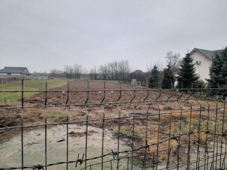 Teren agricol intravilan de 1198 mp, în Tărian