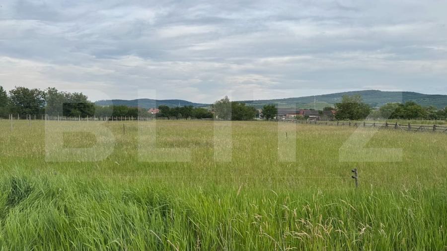 Teren Construcții intravilan de 1100 mp, în Livezile