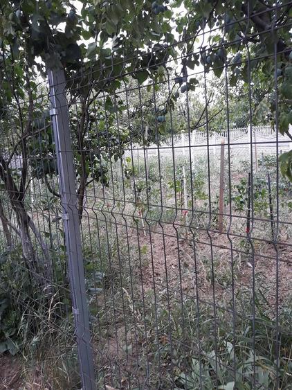 Casă cu Teren 1600 Mp în Mintia