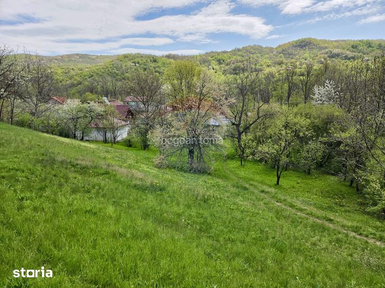Teren intravilan 4.733 mp - Drajna de Jos, Prahova