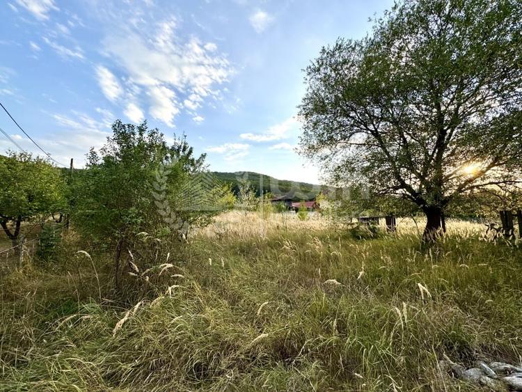 Teren Construcții intravilan de 2848 mp, în Gilău