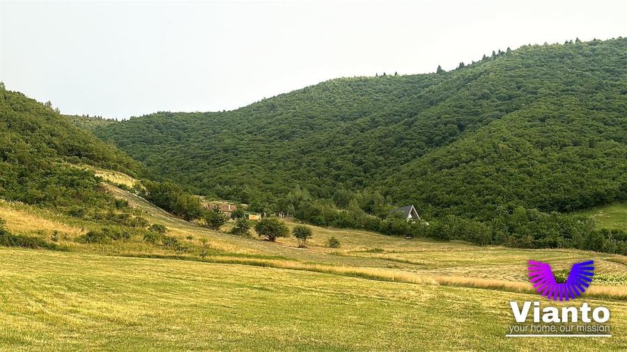 Teren agricol extravilan de 3408 mp, în Gura Râului