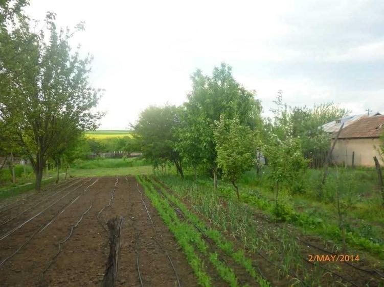 Casă cu 4 camere în Ciuperceni