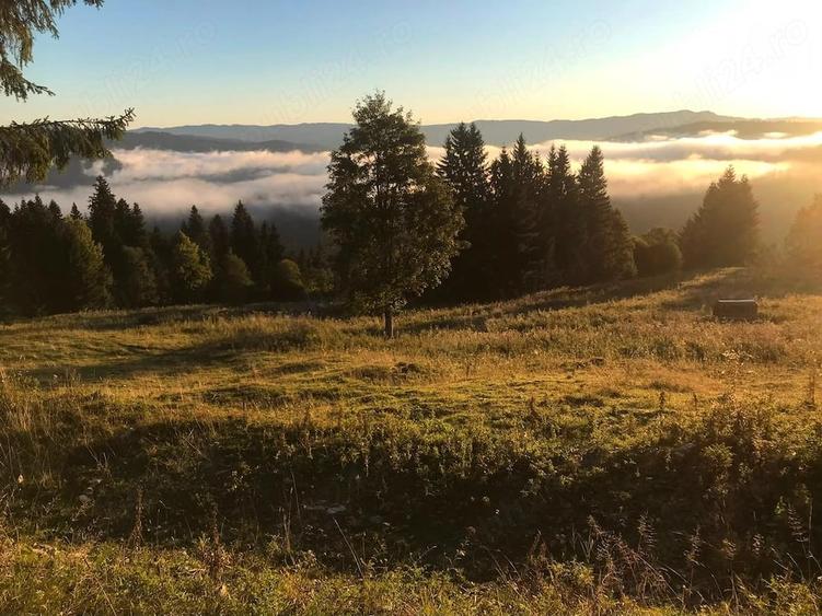 Teren de 4000 mp, în Durău