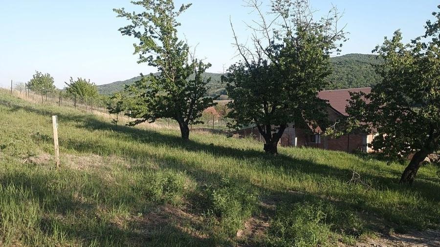 Teren de 1420 mp, în Chicerea