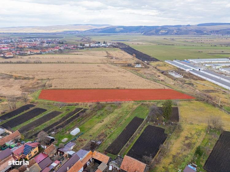 Teren de 10000 mp, în Bod