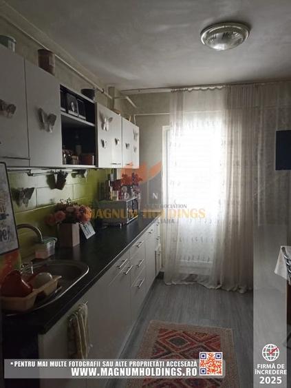 Apartament cu 3 camere decomandat, mobilat în Găvana 3